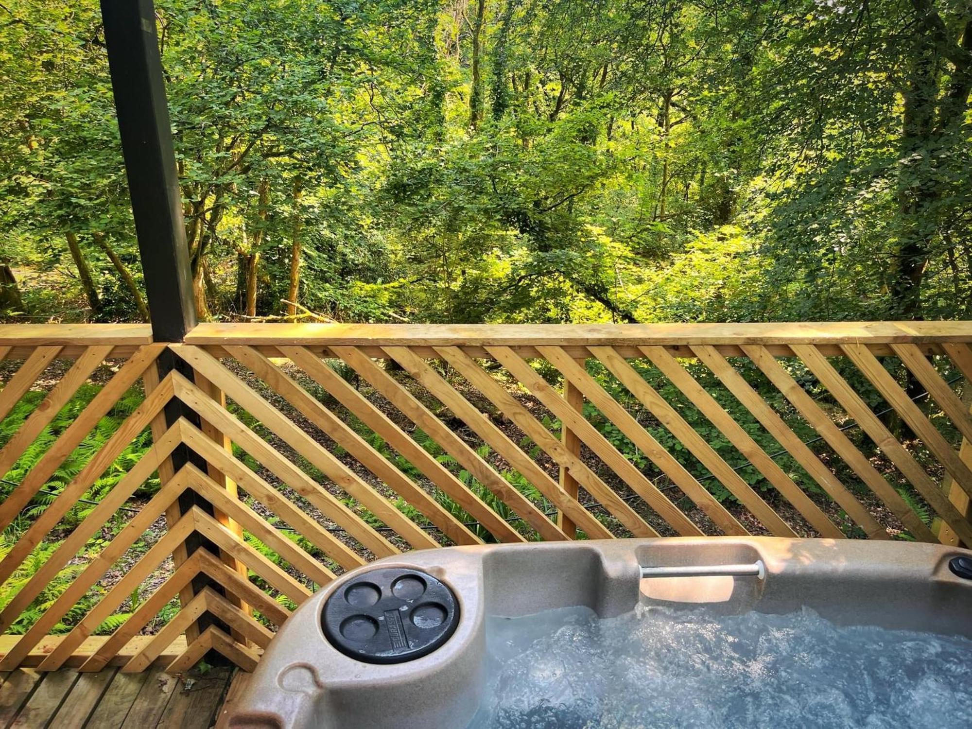 Goldcrest 3-Hot Tub-Woodland Lodges-Carmarthenshire-Tenby Екстер'єр фото